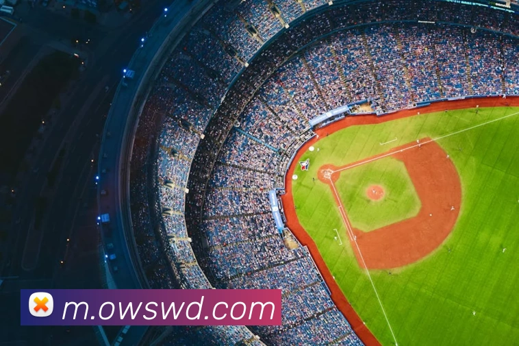 App Interface Preview